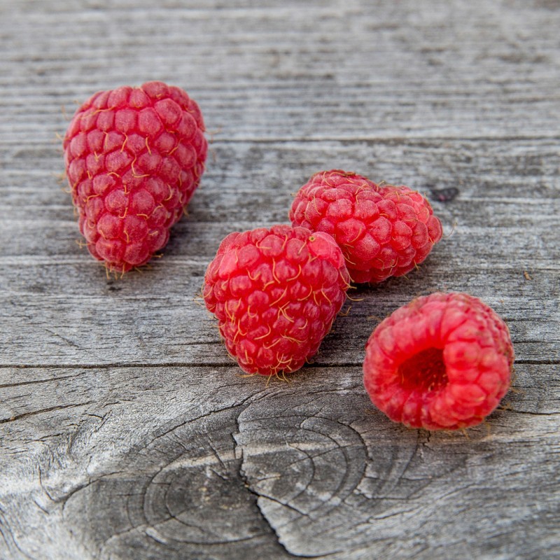 Framboise