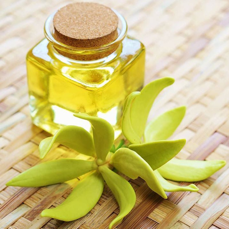 Parfum Ylang Ylang