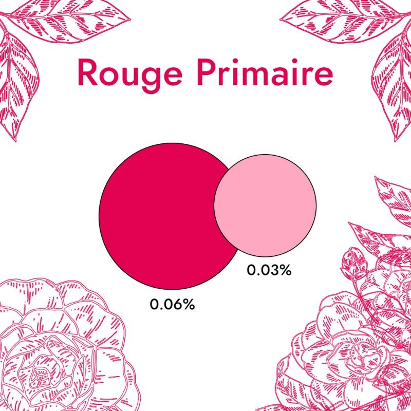 Colorant Liquide Rouge Primaire