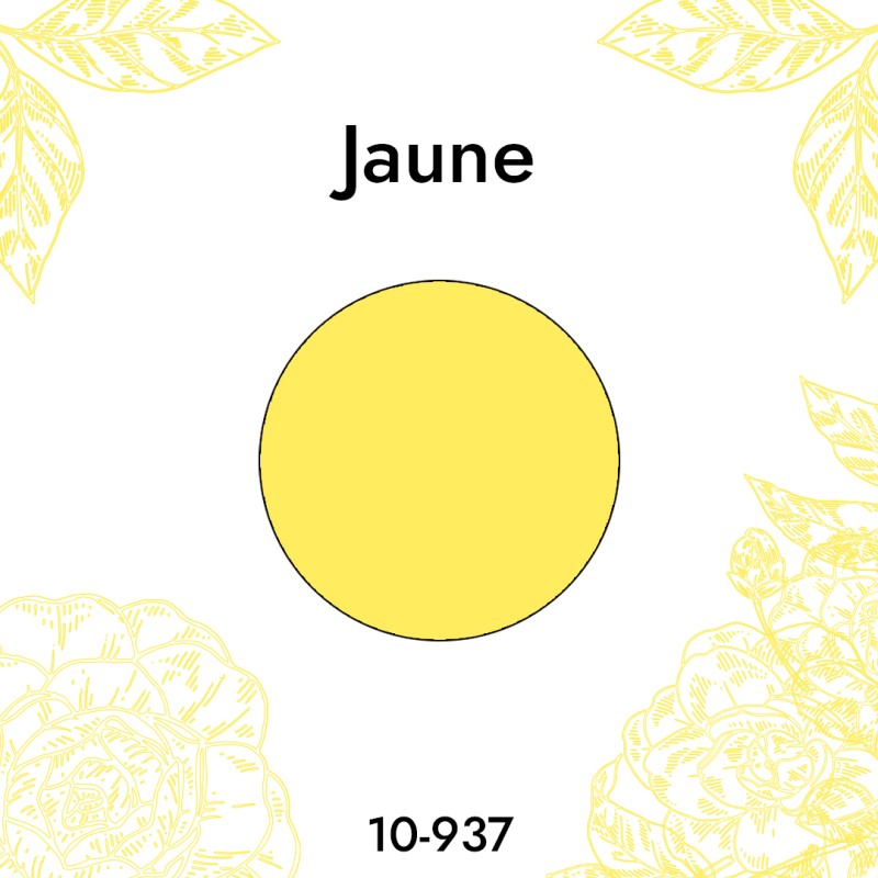 Colorant Jaune 10-937 Bekro