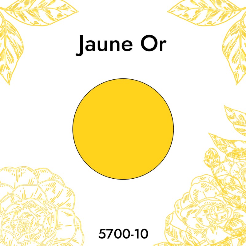 Colorant Jaune Or 5700-10 Bekro