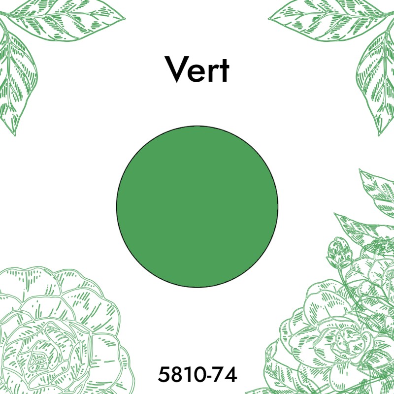 Colorant Vert 5810-74 Bekro