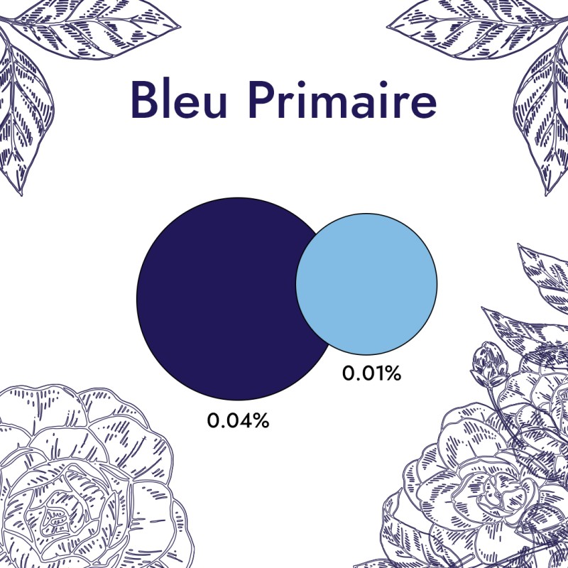 Colorant Liquide Bleu Primaire