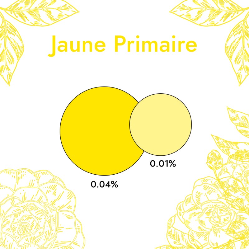 Colorant Liquide Jaune Primaire