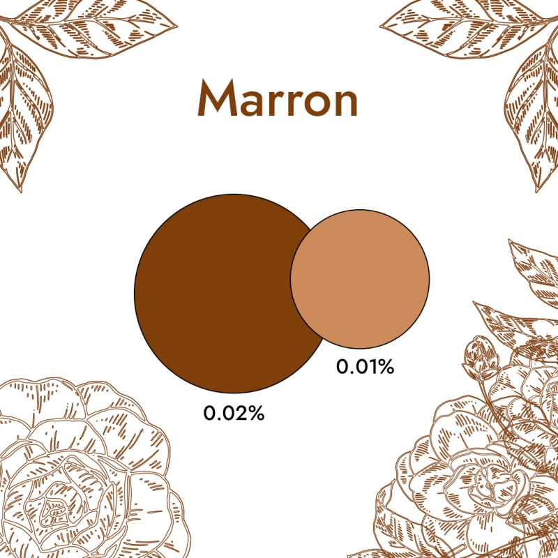 Colorant Liquide Marron