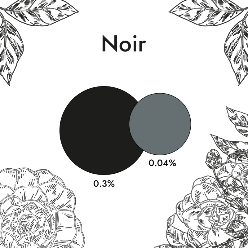 Colorant Liquide Noir