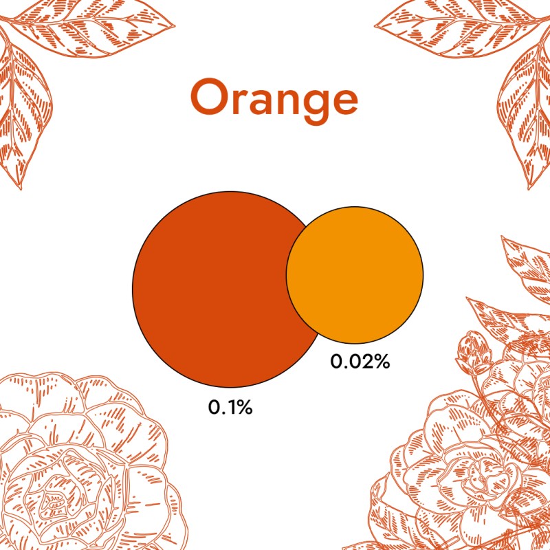 Colorant Liquide Orange