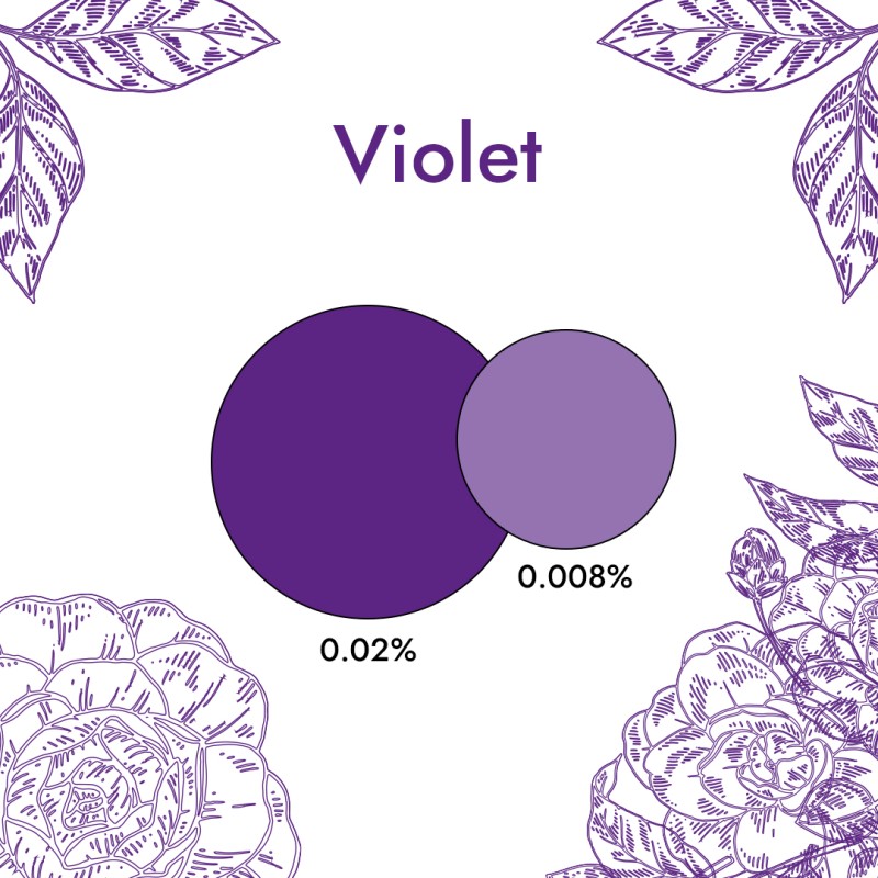 Colorant Liquide Violet