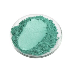 Poudre de Mica Vert Forêt 20gr