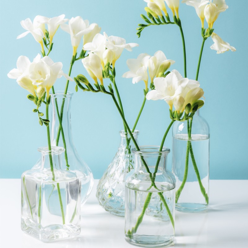 Parfum Bougie Freesia