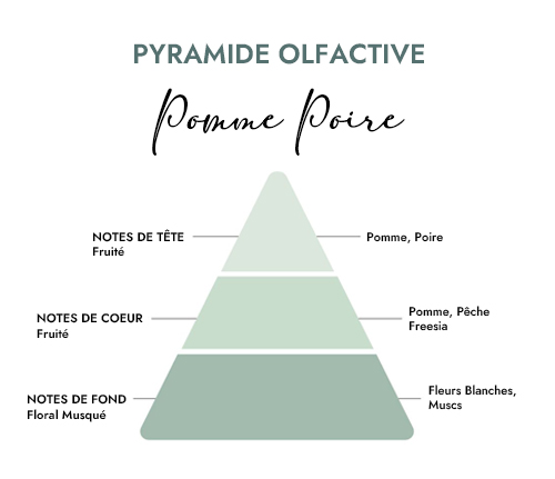 Pyramide olfactive parfum bougie pomme poire