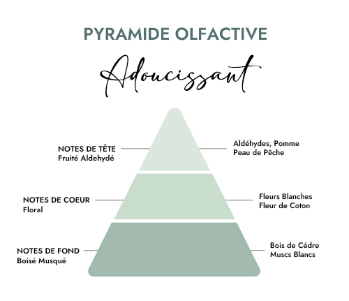 Pyramide olfactive parfum bougie adoucissant