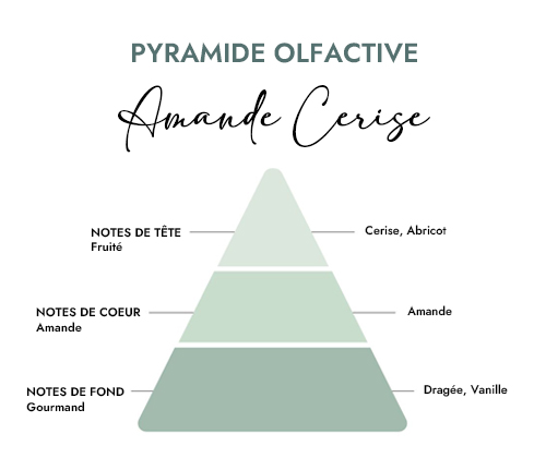 Pyramide olfactive parfum bougie amande cerise