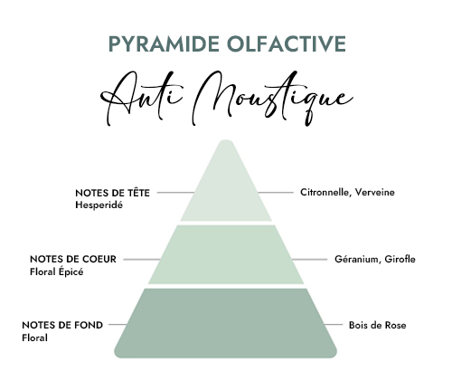 Pyramide olfactive parfum bougie anti moustique