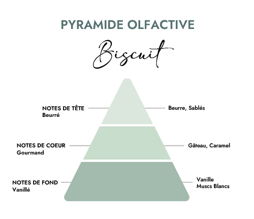 Pyramide olfactive parfum bougie biscuit