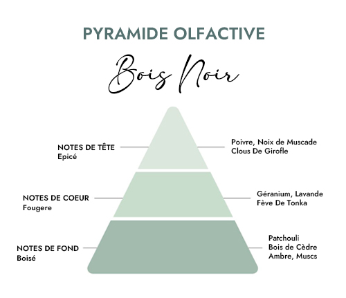 Pyramide olfactive parfum bougie bois noir