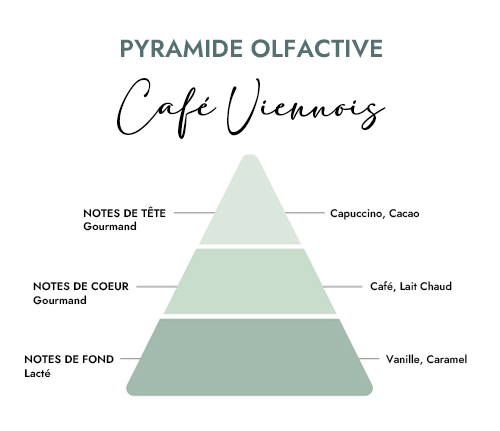 Pyramide olfactive parfum bougie cafe viennois