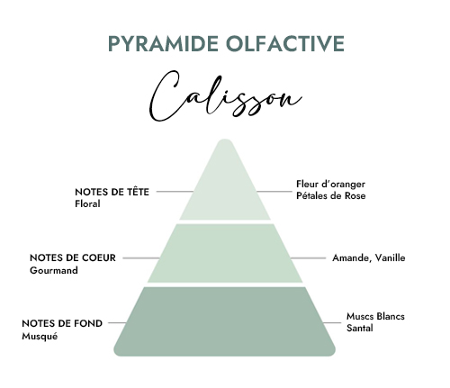 Pyramide olfactive parfum bougie calisson