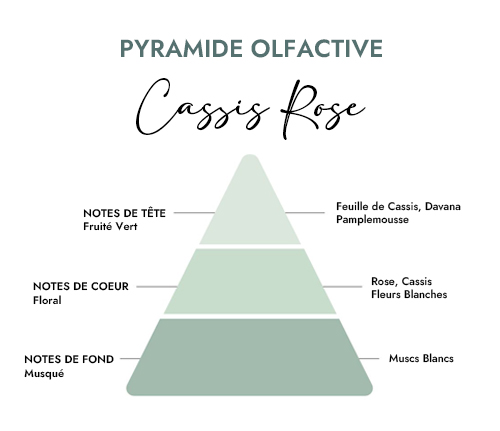 Pyramide olfactive parfum bougie cassis rose