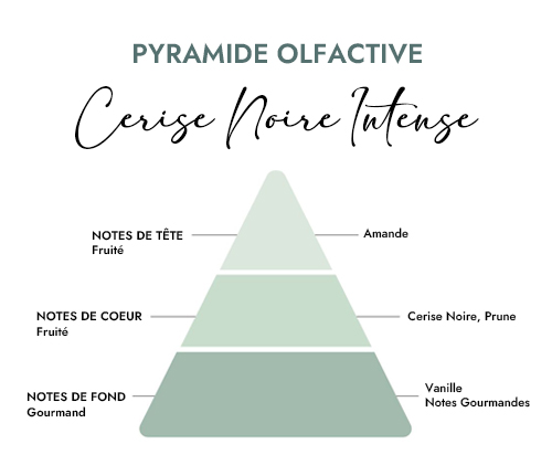 Pyramide olfactive parfum bougie cerise noire intense