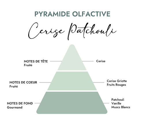 Pyramide olfactive parfum bougie cerise patchouli