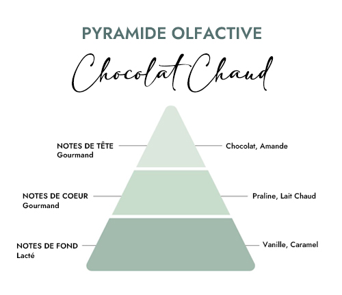 Pyramide olfactive parfum bougie chocolat chaud