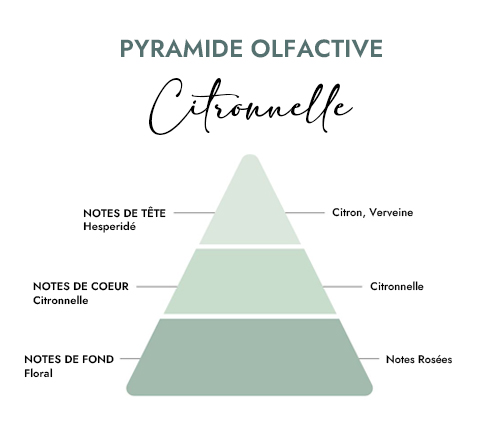 Pyramide olfactive parfum bougie citronnelle