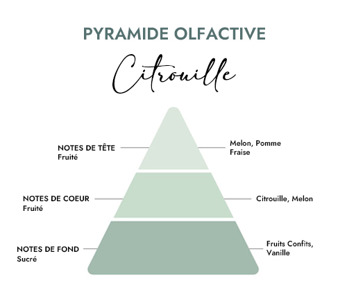 Pyramide olfactive parfum bougie citrouille