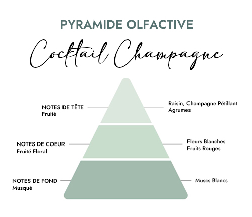 Pyramide olfactive parfum bougie cocktail champagne