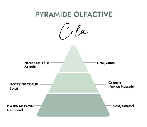Pyramide olfactive parfum bougie cola