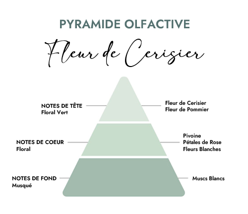 Pyramide olfactive parfum bougie fleur de cerisier