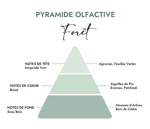 Pyramide olfactive parfum bougie forêt