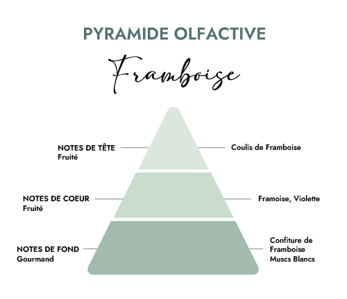 Pyramide olfactive parfum bougie framboise