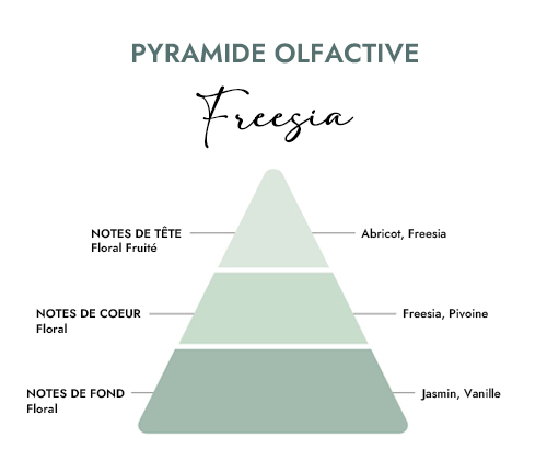 Pyramide olfactive parfum bougie freesia