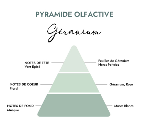Pyramide olfactive parfum bougie géranium