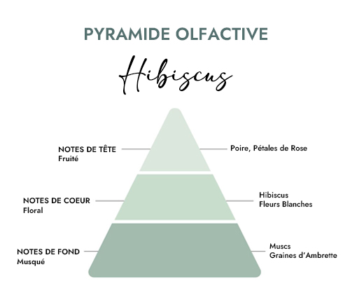 Pyramide olfactive parfum bougie hibiscus