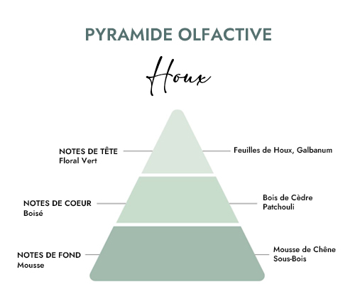 Pyramide olfactive parfum bougie houx