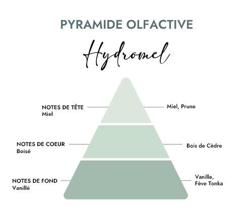 Pyramide olfactive parfum bougie hydromel