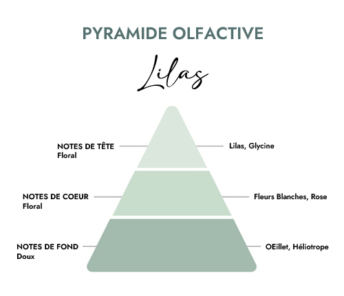 Pyramide olfactive parfum bougie lilas