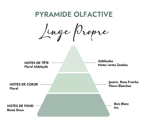 Pyramide olfactive parfum bougie linge propre