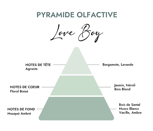 Pyramide olfactive parfum bougie love boy