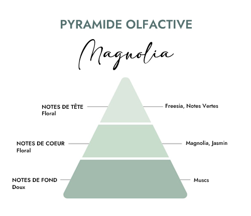 Pyramide olfactive parfum bougie magnolia