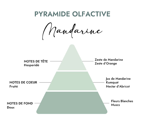 Pyramide olfactive parfum bougie mandarine