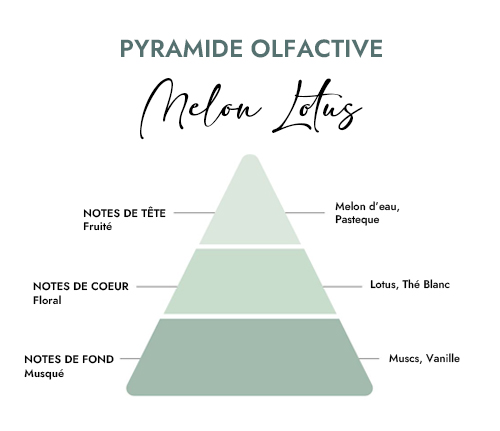 Pyramide olfactive parfum bougie melon lotus