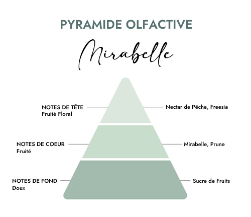 Pyramide olfactive parfum bougie mirabelle