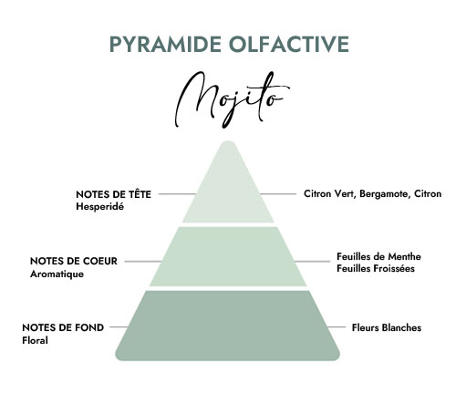 Pyramide olfactive parfum bougie mojito