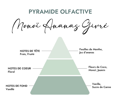 Pyramide olfactive parfum bougie monoi ananas givré