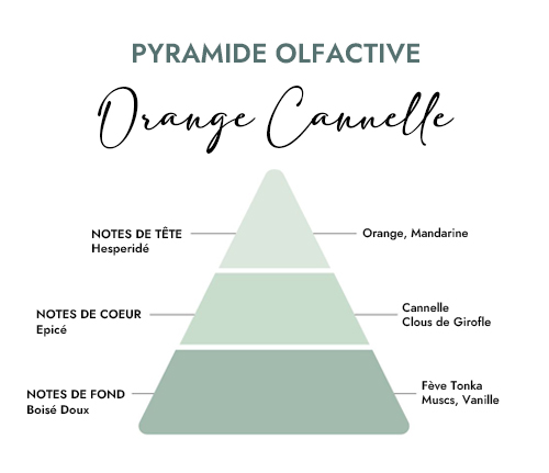 Pyramide olfactive parfum bougie orange cannelle