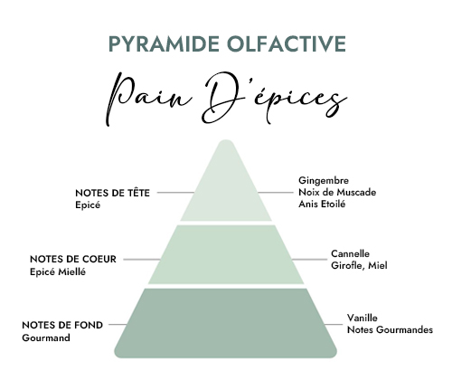 Pyramide olfactive parfum bougie pain d'epices