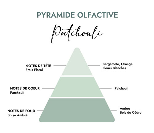 Pyramide olfactive parfum bougie patchouli